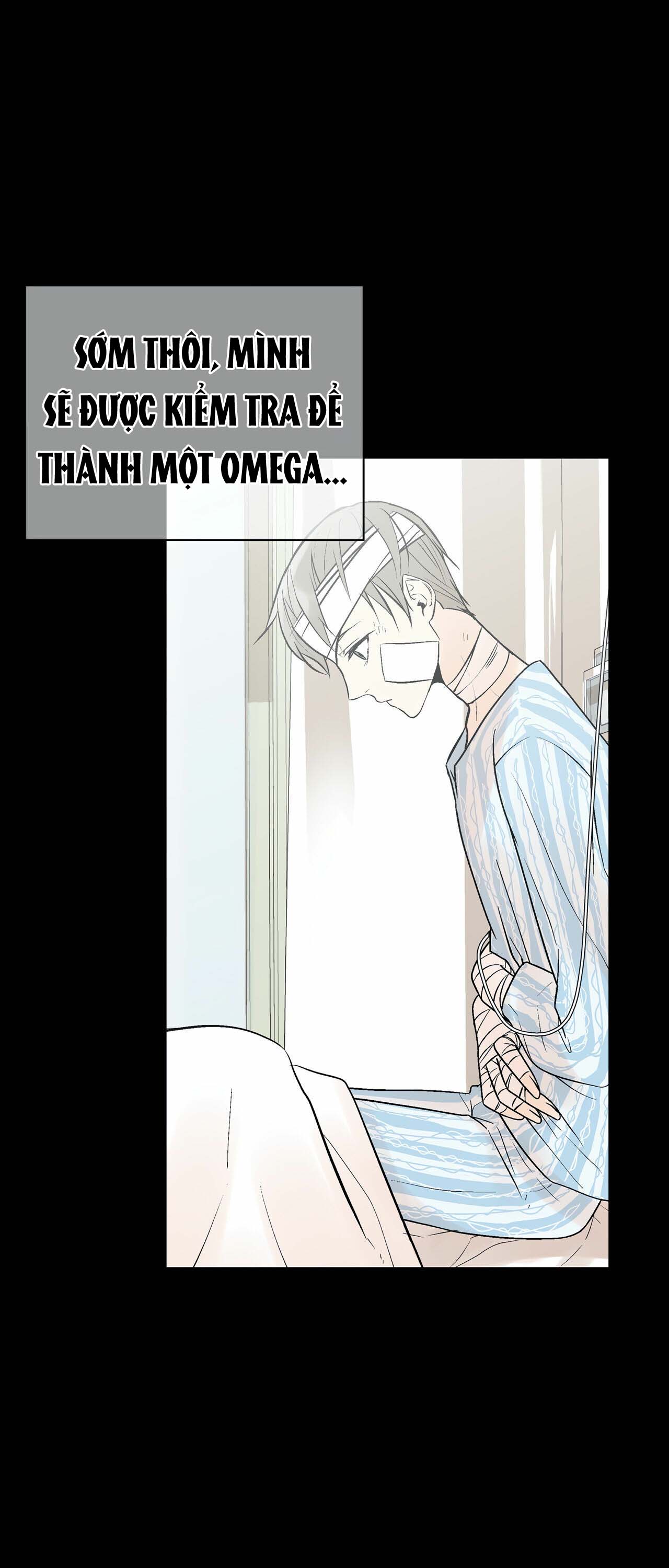 trú ẩn - haven chapter 9 5