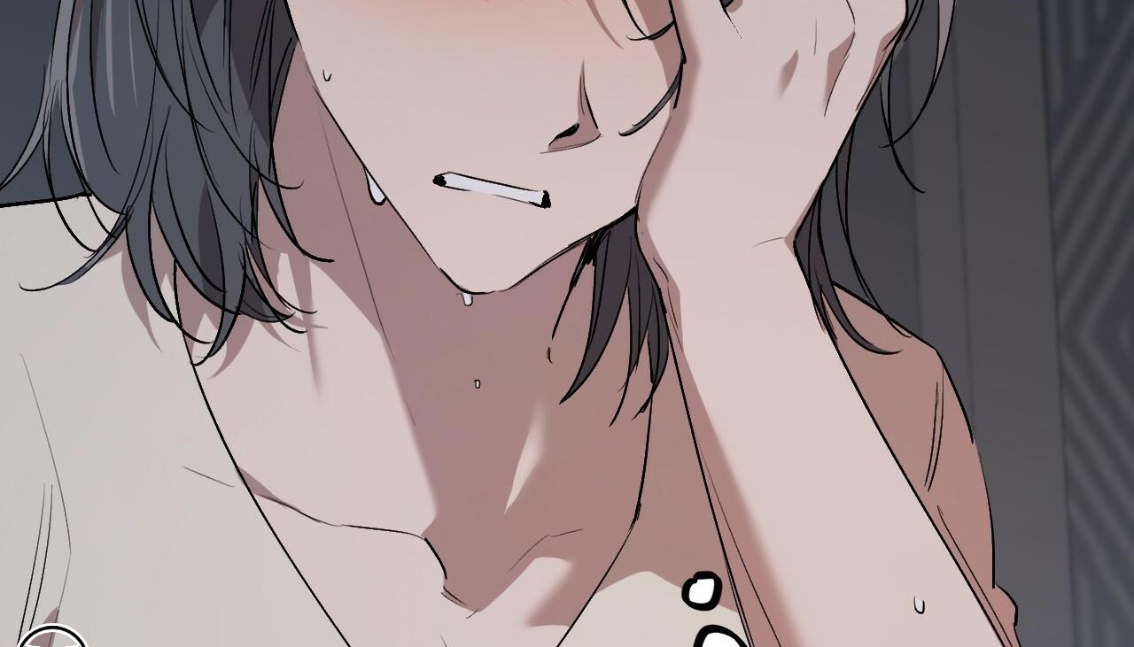 đàn thỏ của habibi chapter 47 213