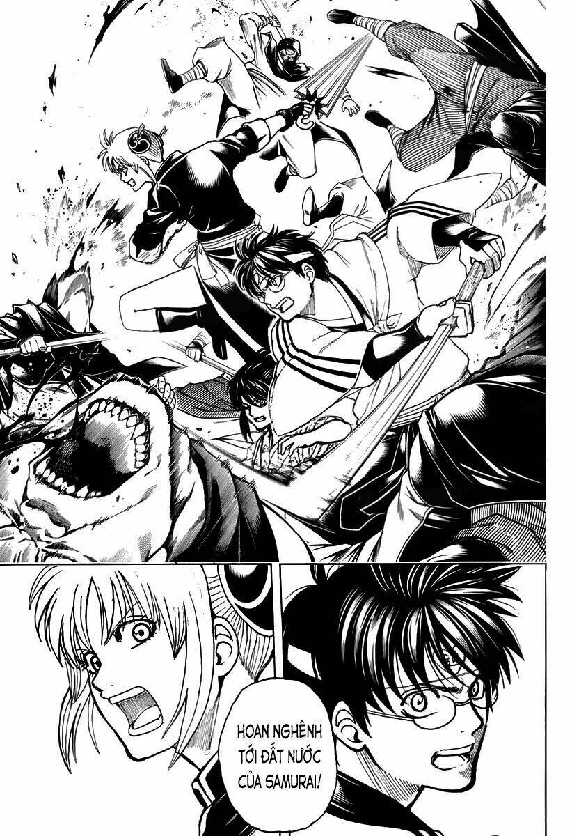 gintama - linh hồn bạc chapter 699 32