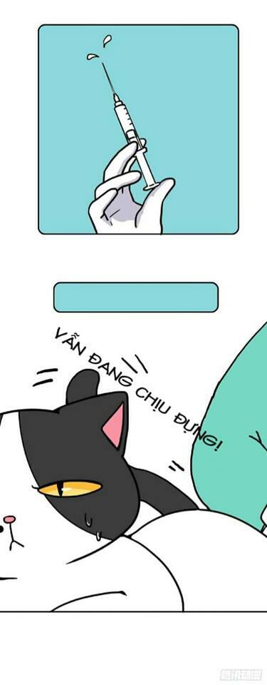 hello dư tuyết đặc chapter 2 4