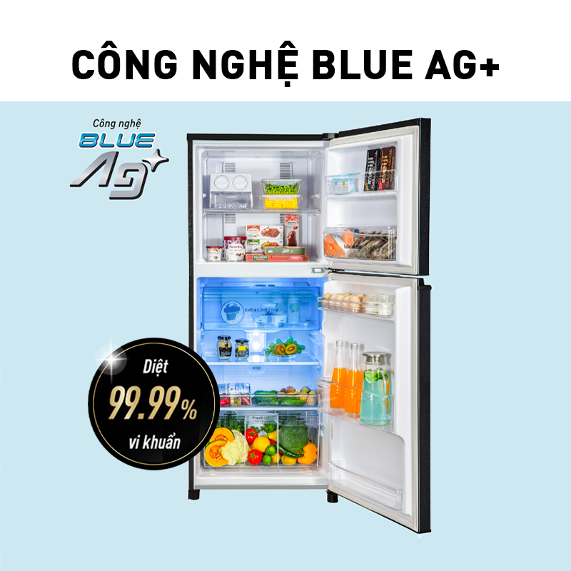 Tủ lạnh Panasonic Diệt Khuẩn 234L NR-TV261BPS9 - Vô Hiệu Hóa Vi Khuẩn Toàn Ngăn Mát 99,99% - Siêu tiết kiệm - Ngăn Đá Trên - Hàng chính hãng
