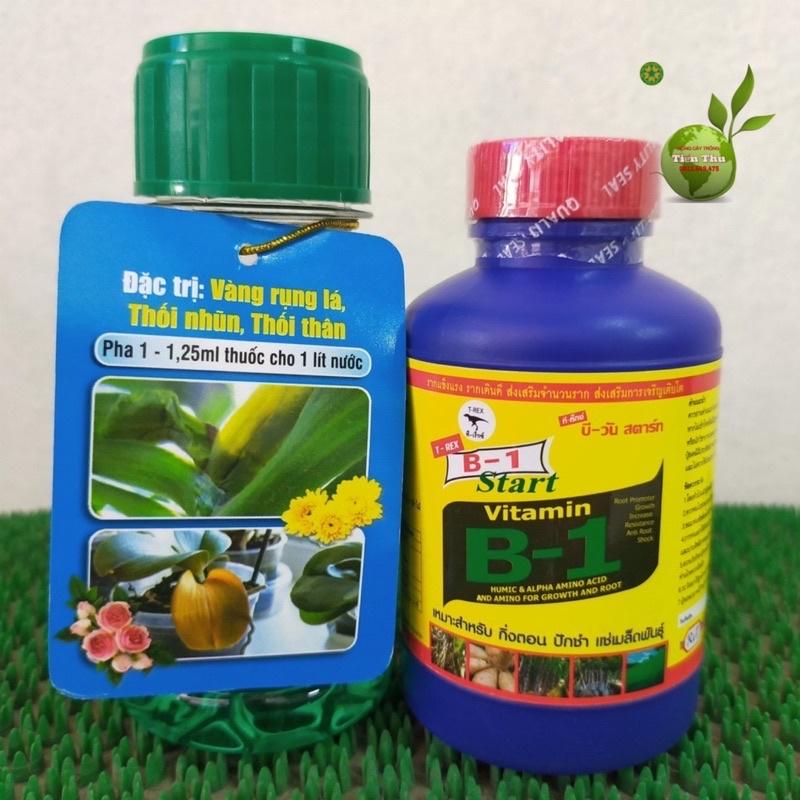 Combo B1 thái kích rễ + Physan trị nấm, thối nhũn