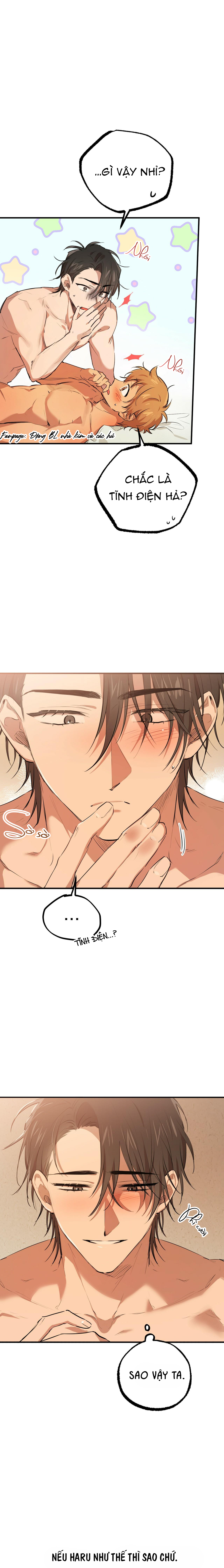 những chú thỏ của hapypy chapter 26 3