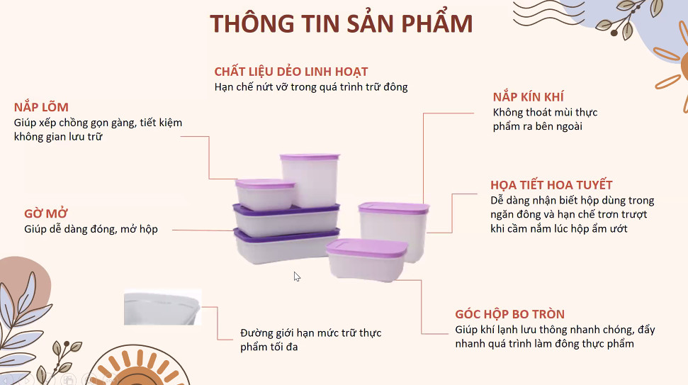 Bộ Hộp Tupperware Trữ Đông Violet - Hàng Chính Hãng