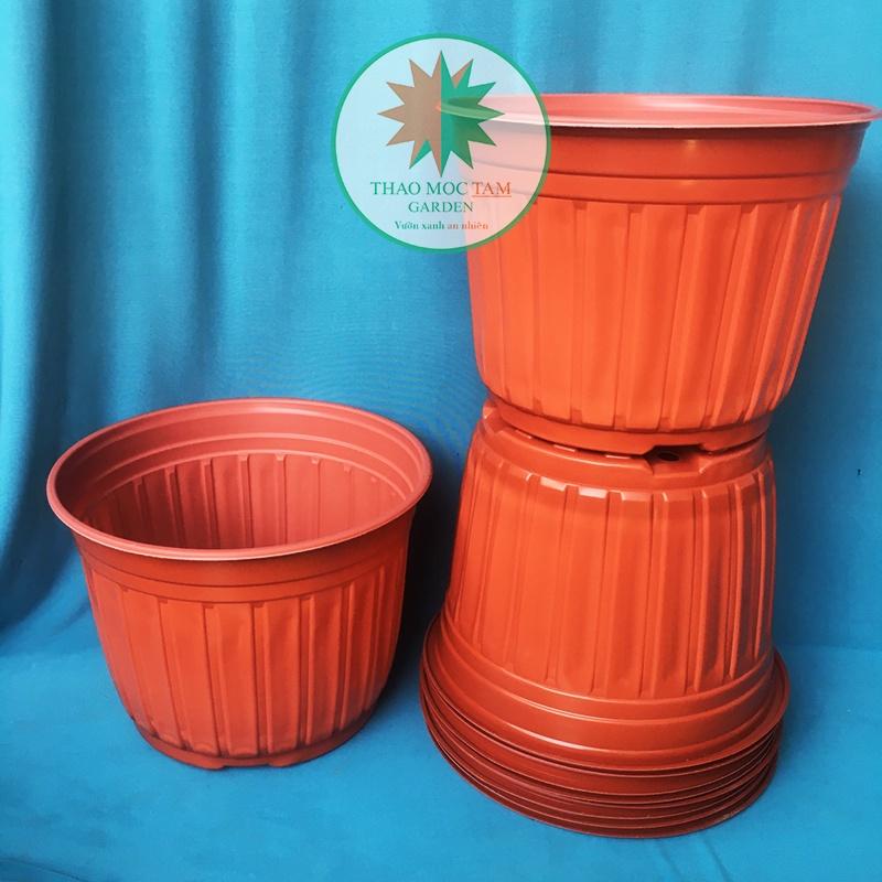 10cái Chậu trồng cây 28x20.5cm - Chậu nhựa trồng hoa, cây kiểng phù hợp các dòng hoa bụi lớn, trồng hoa hồng
