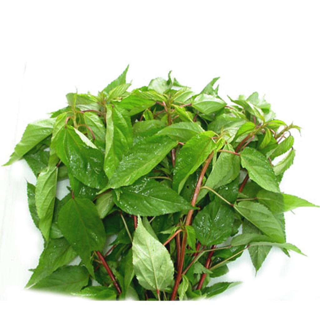 Gói 20g Hạt giống rau đay dễ trồng, nảy mầm đều, ít công chăm sóc - Anh nông dân chính hiệu