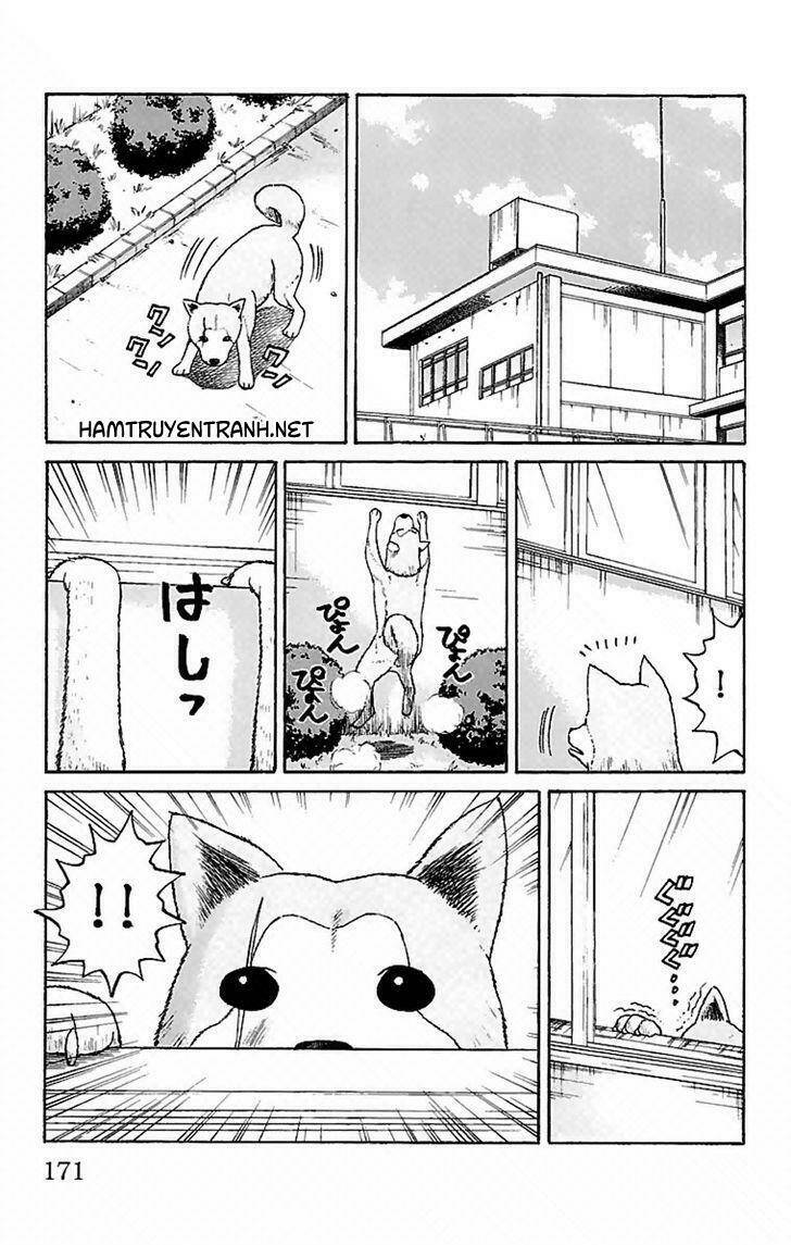nanba mg5 chapter 6 20
