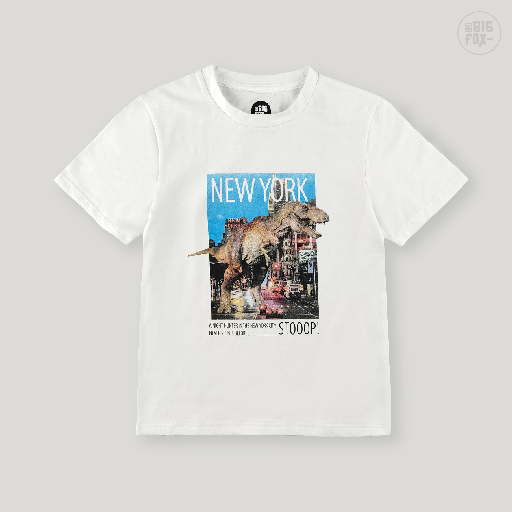 Áo thun bé trai BIGFOX - MISS MEOW size đại, áo cho bé chất cotton phong cách Âu Mỹ in khủng long New York 11 - 40 kg QATE