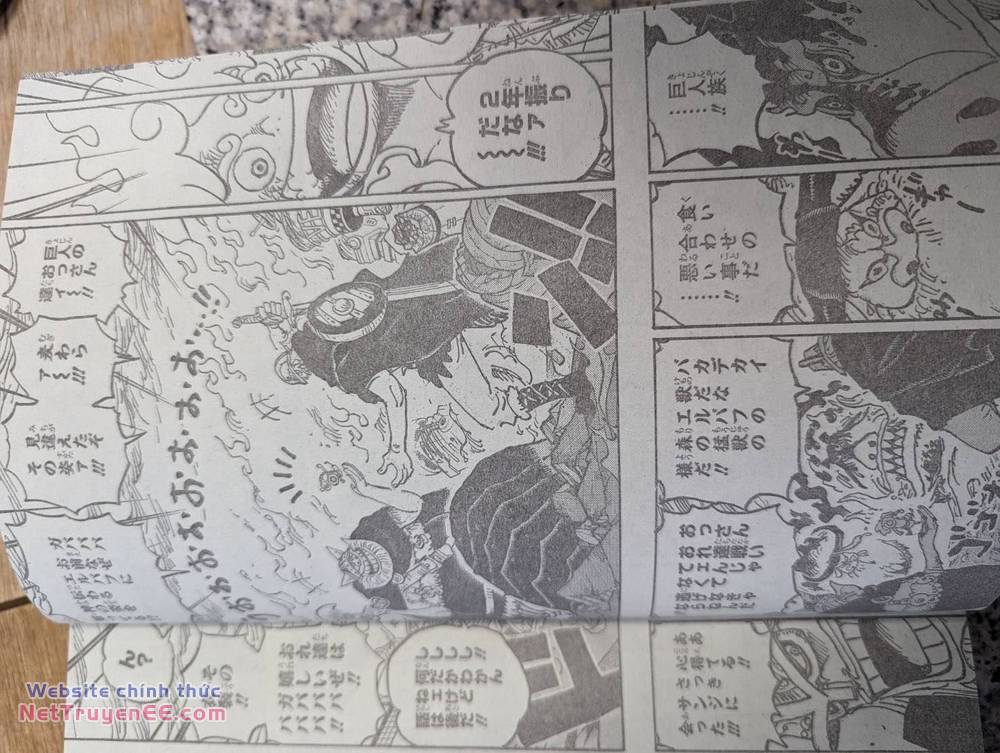 đảo hải tặc - one piece chapter 1111 10