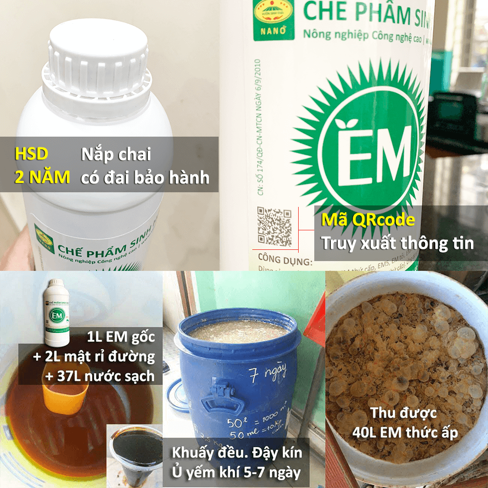 Combo 2 lít Chế phẩm sinh học EM gốc và 5kg Mật Rỉ Đường đậm đặc. Men vi sinh chuẩn gốc của Đại học NN1 Hà Nội. Với hàng tỷ vi sinh vật có lợi