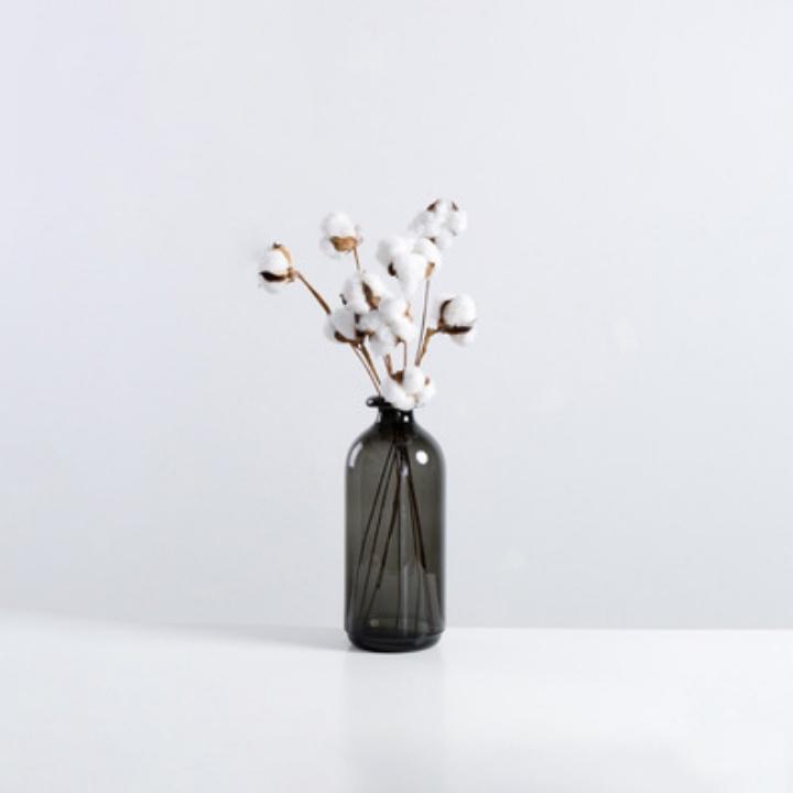 Lọ hoa thủy tinh trang trí bình hoa đẹp kiểu dáng tối giản dùng để bàn, decor phòng khách
