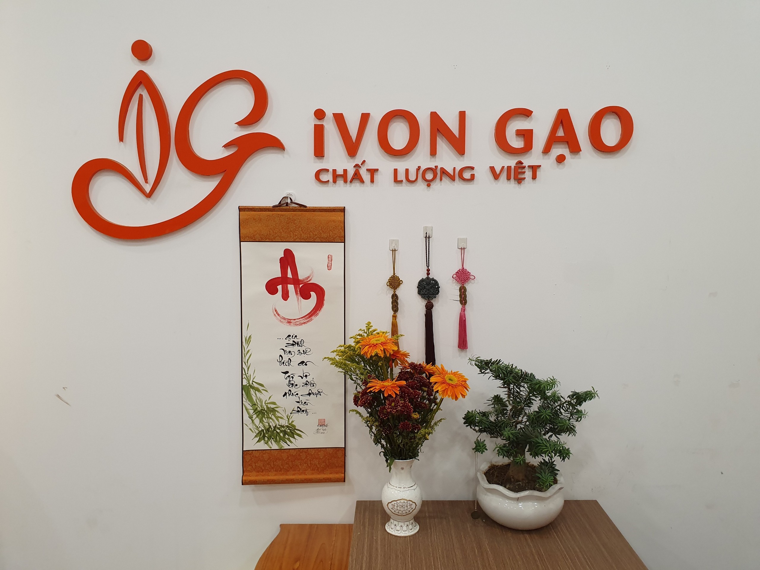 Gạo nếp - Túi 5 kg - Dẻo, thơm, mềm cơm