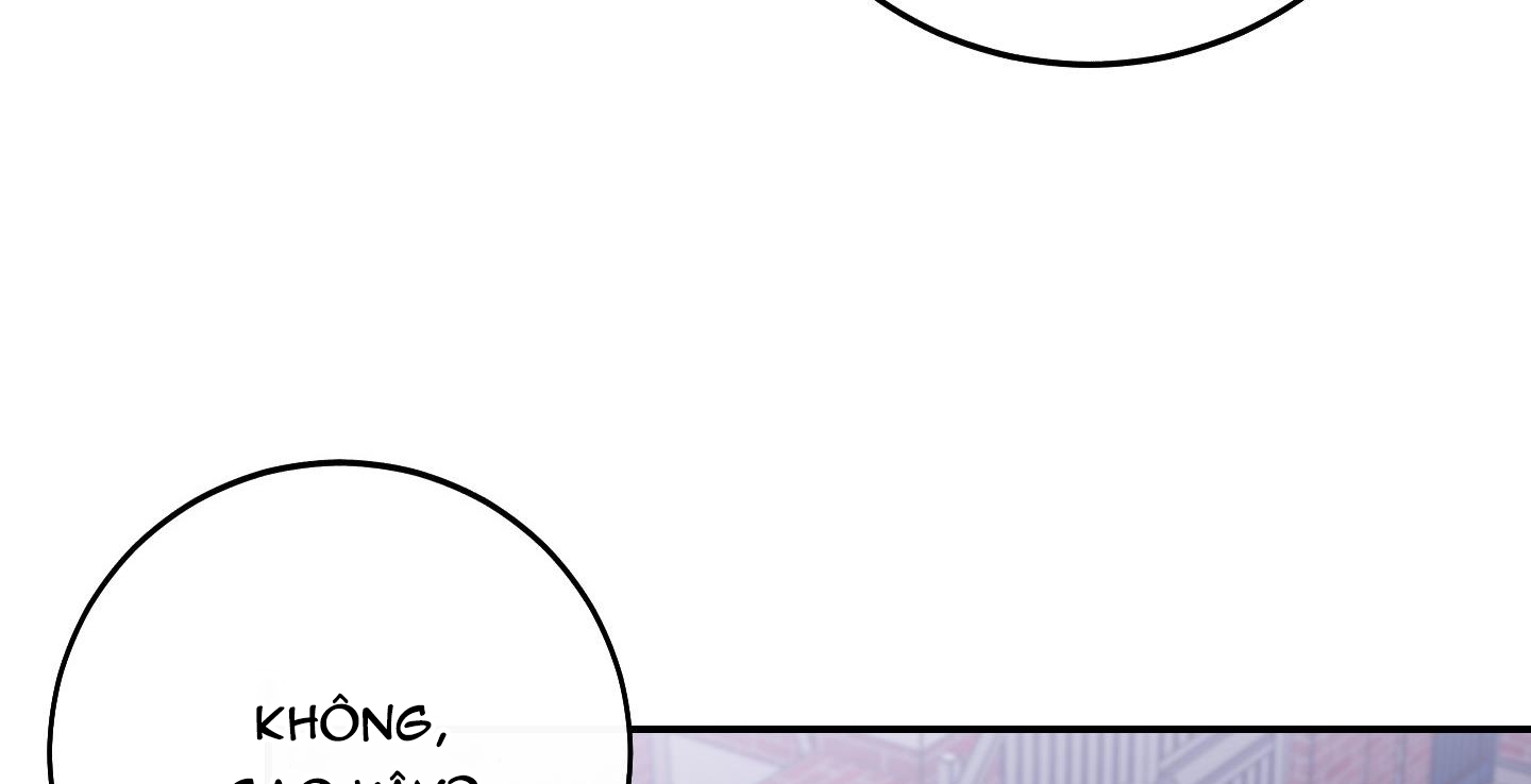 lãng mạn giả dối chapter 10 248