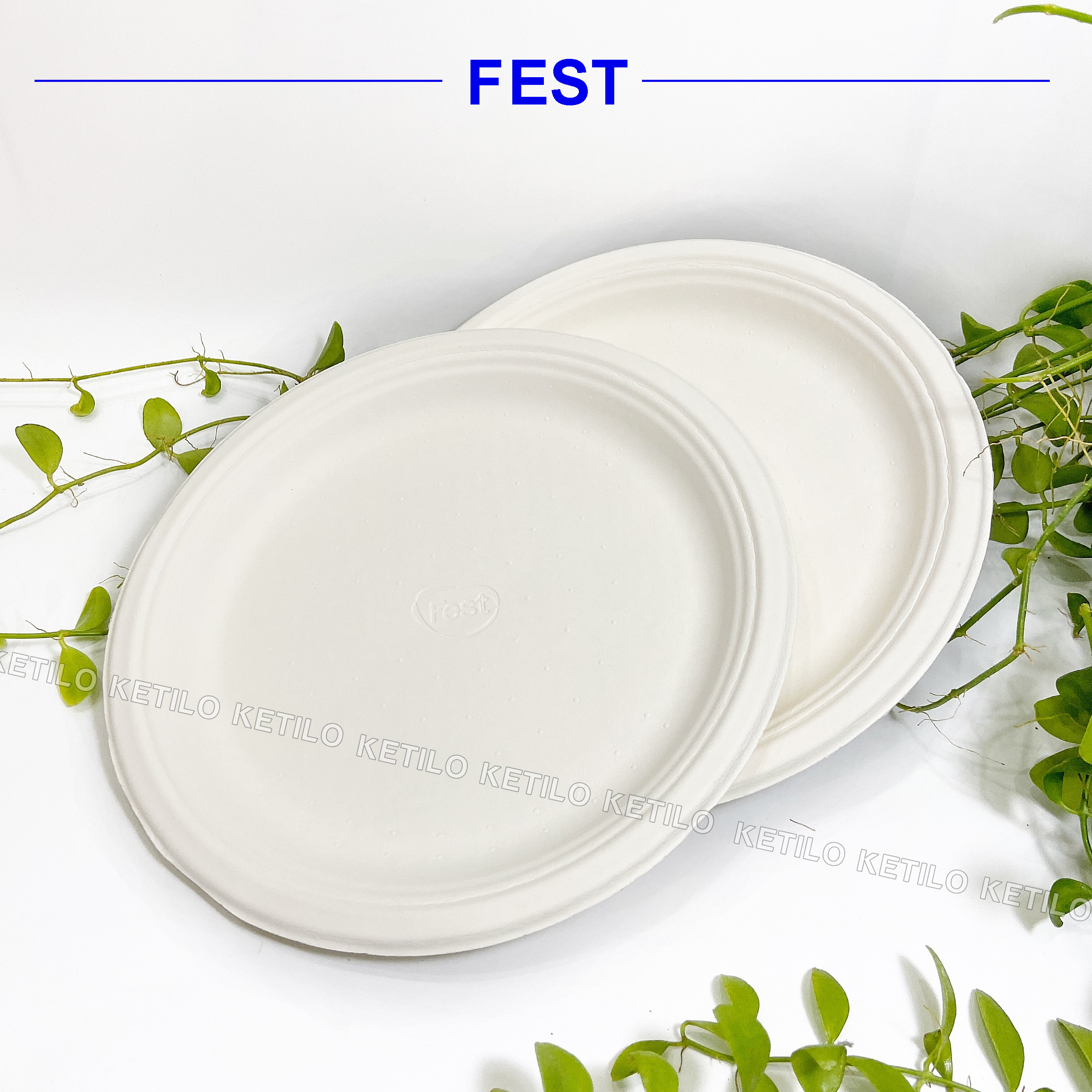 Bộ 25 Dĩa Giấy FEST BIO PLATE 8 Inches Trắng Thái Lan Cao Cấp, Sử Dụng Tốt Trong Lò Vi Sóng, Dùng 1 Lần, An Toàn Thân Thiện Môi Trường - HÀNG CHÍNH HÃNG F003 (Tặng Móc Khóa KETILO Cỏ 4 lá))