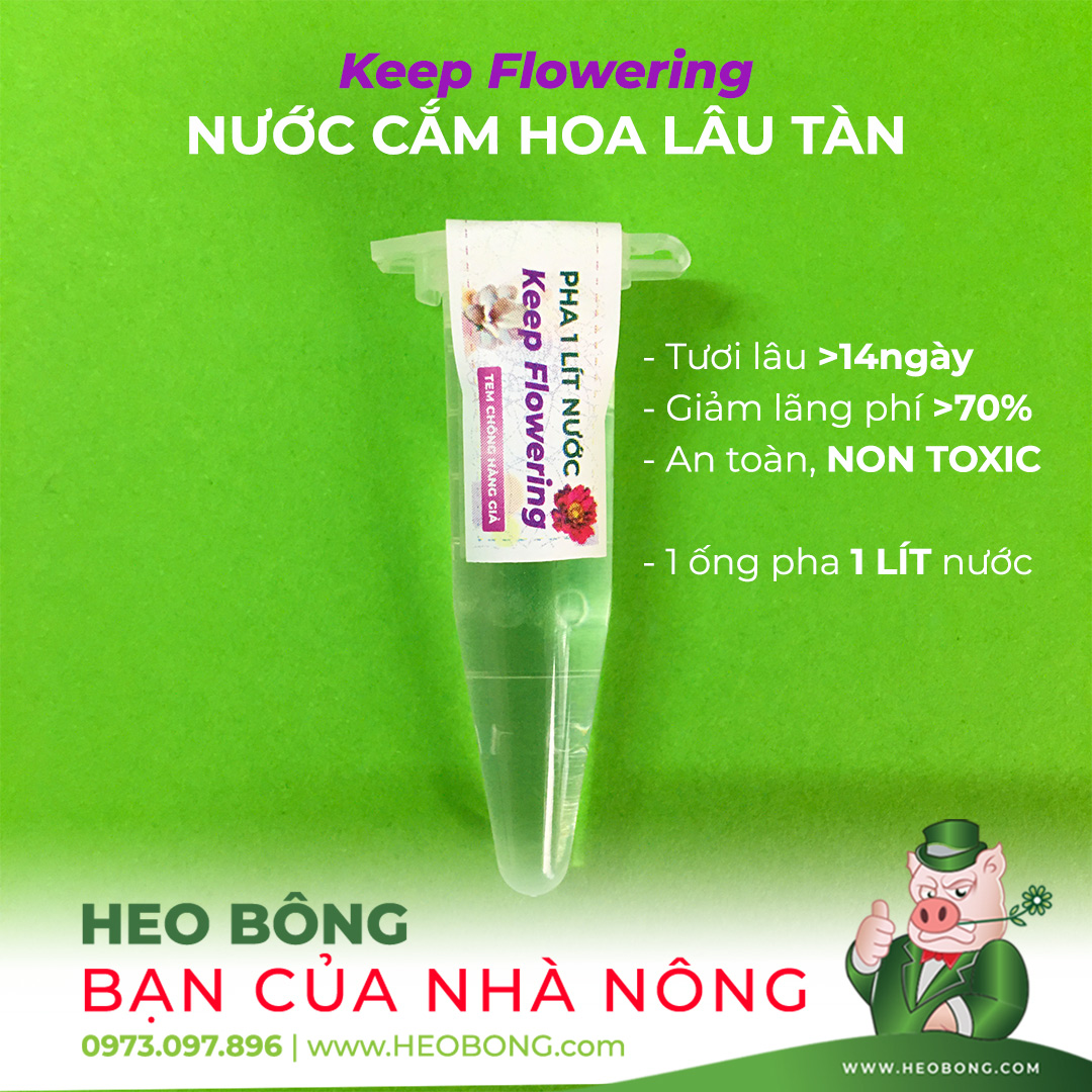 Nước Cắm Hoa Lâu Tàn Keep Flowering
