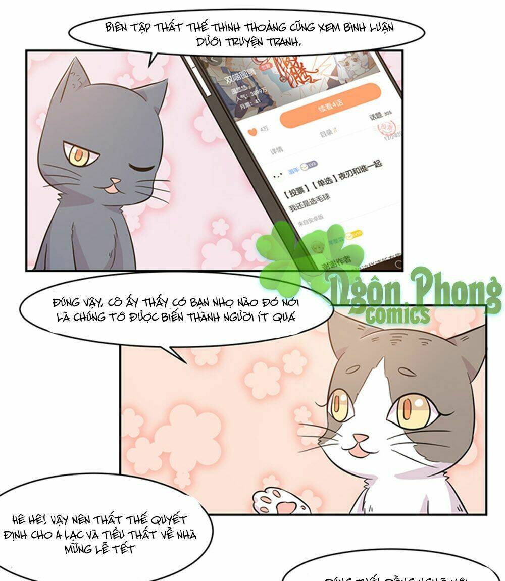 hai chú mèo totem chapter 19 19