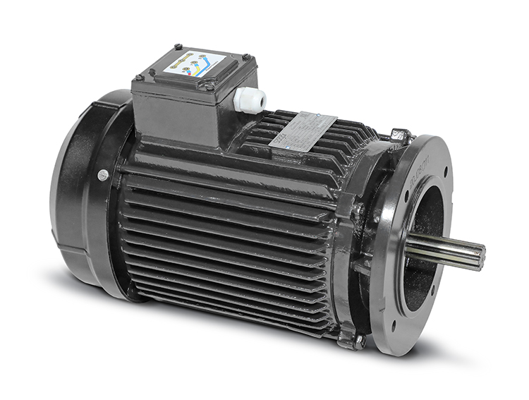 Motor quạt nước ao tôm Sagar 2.2kW 4P 3 pha 380V 50Hz IE2 Class H- Hàng chính hãng