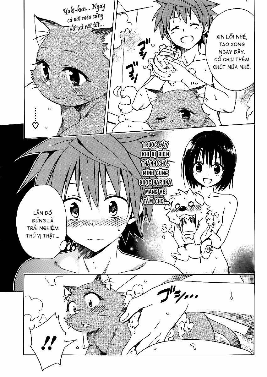 bọn tớ thích cậu! rito 2 - venus chapter 15 17