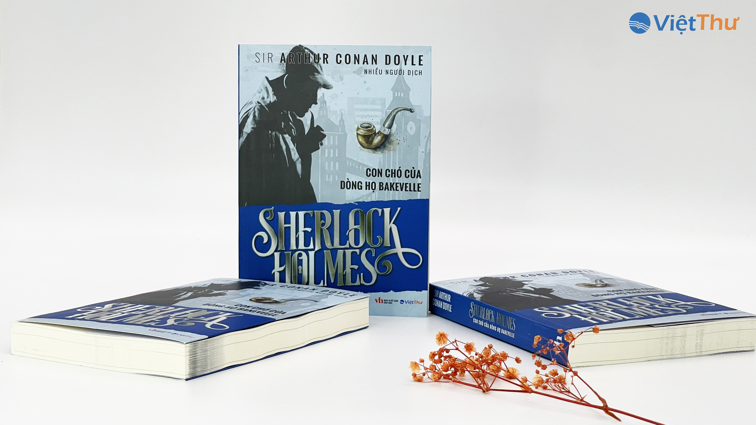 Sherlock Holmes - Con Chó Của Dòng Họ BAKJEVELLE - Sir Arthur conan doyle (Bìa Mềm)