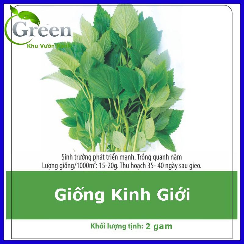 Hạt Giống Rau Kinh Giới Dễ Trồng