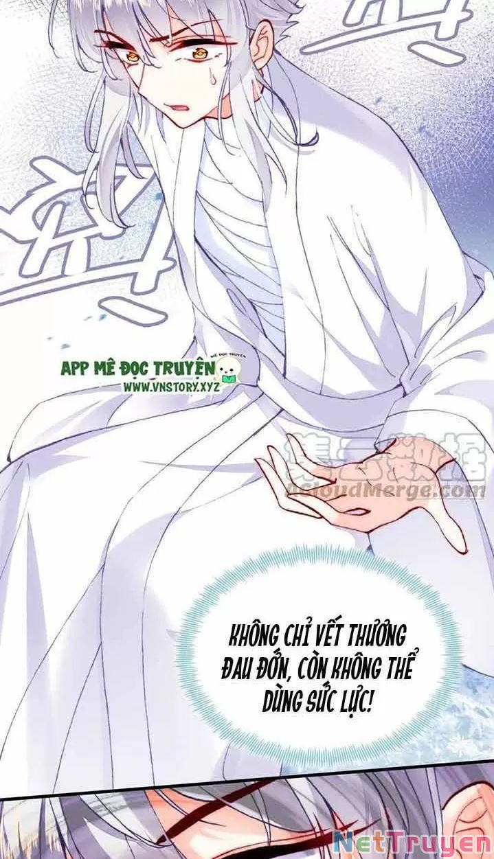 lại bị bệnh chiều chuộng quấn lấy chapter 15 36