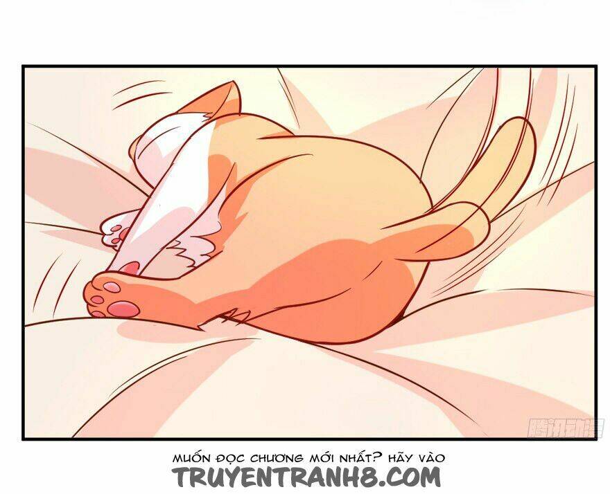 chủ nhân là ảnh đế chapter 1.3 34