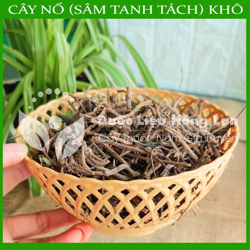 Cây Nổ khô sạch 500gram