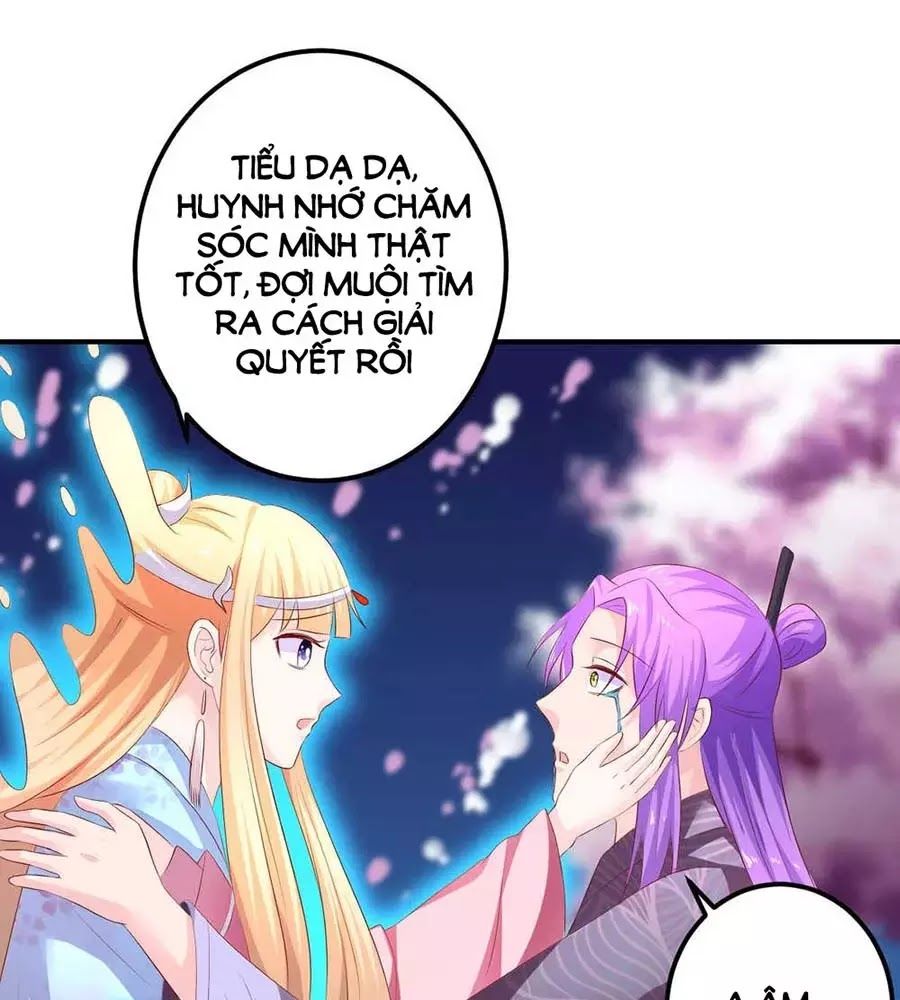 từ đây vương gia không thượng triều sớm chapter 89 11