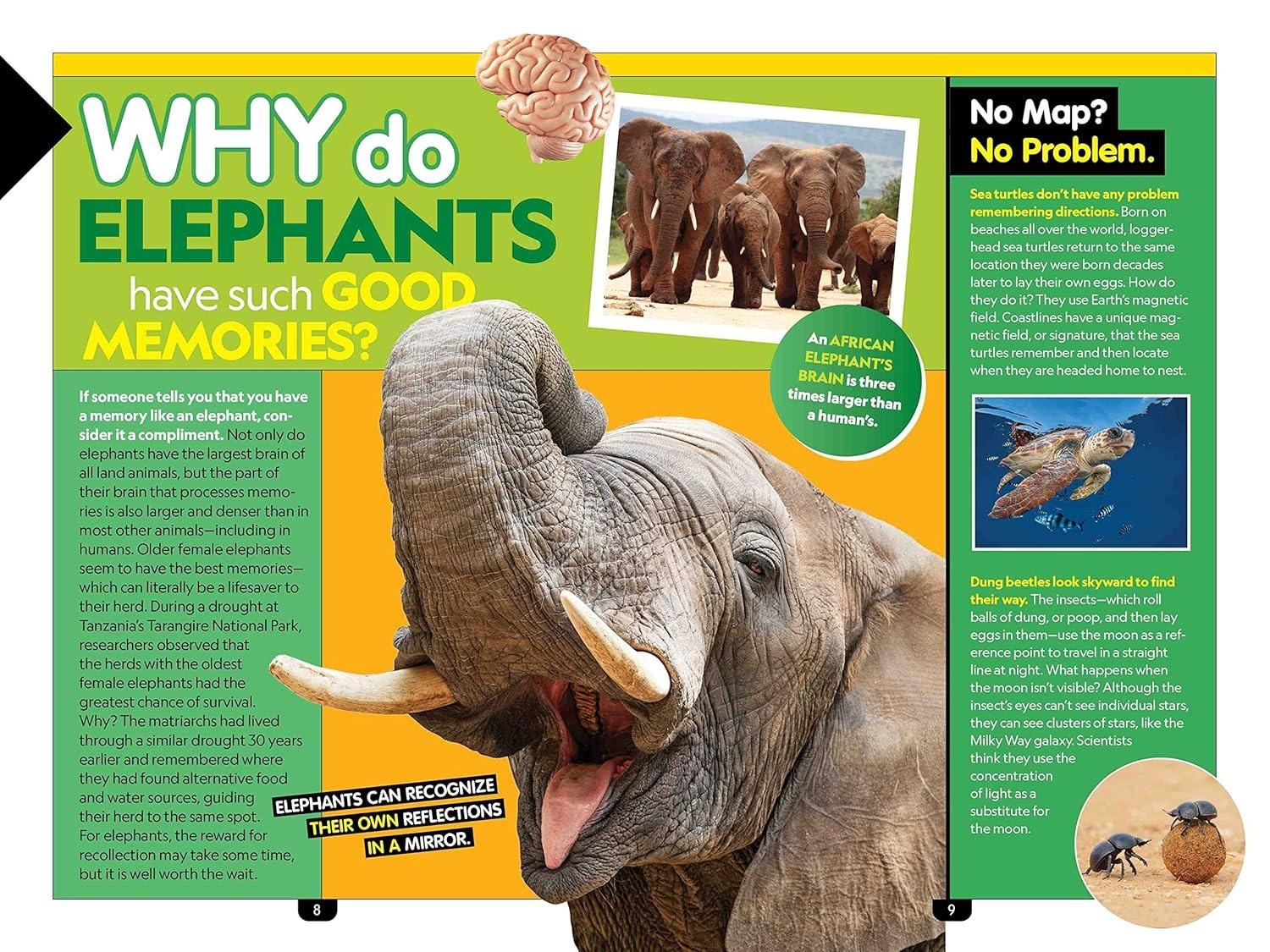 Sách ngoại văn: Why? Animals - 99+ Awesome Answers For Curious Kids