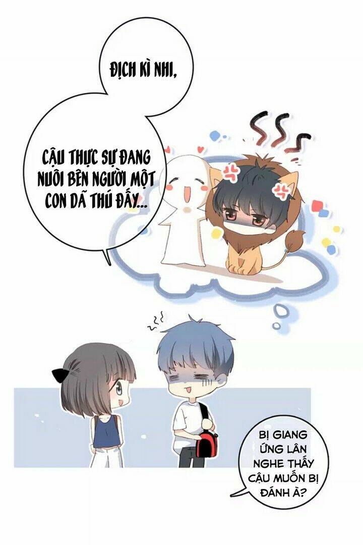 con tim rung động 3 chapter 52 16