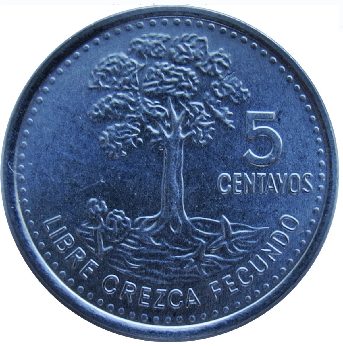 Đồng xu 5 centavos của Guatemela, quốc gia thuộc Trung Mỹ