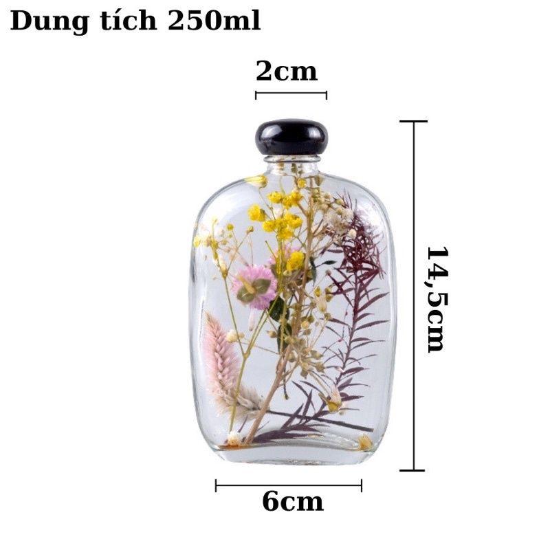 Chai dẹp bầu nắp đen các kích thước 250 350 500ml