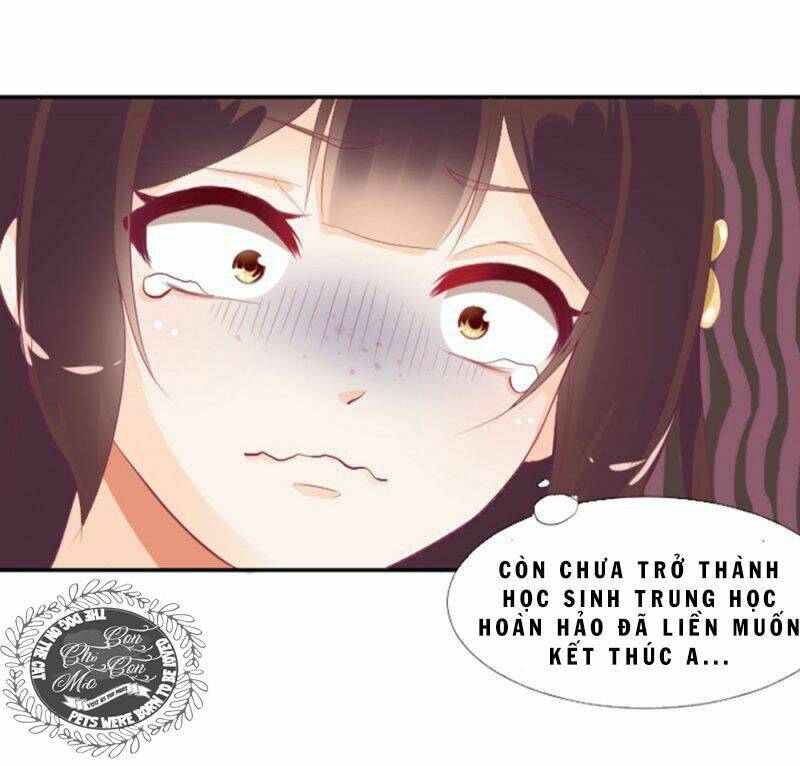 the queen note chapter 4 29