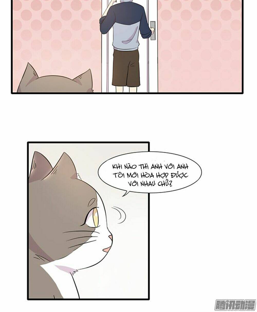 hai chú mèo totem chapter 13 21