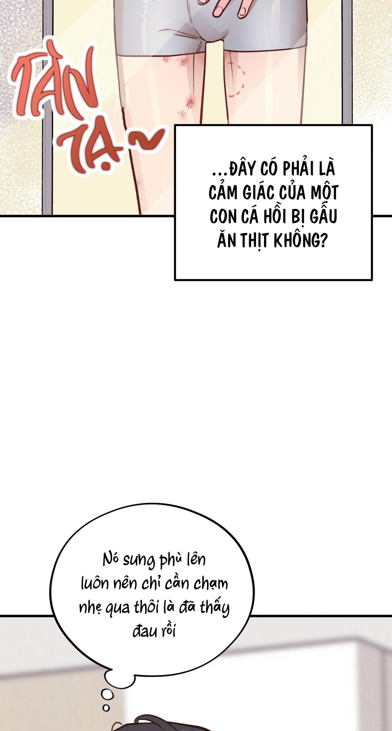 mật gấu chapter 29 94