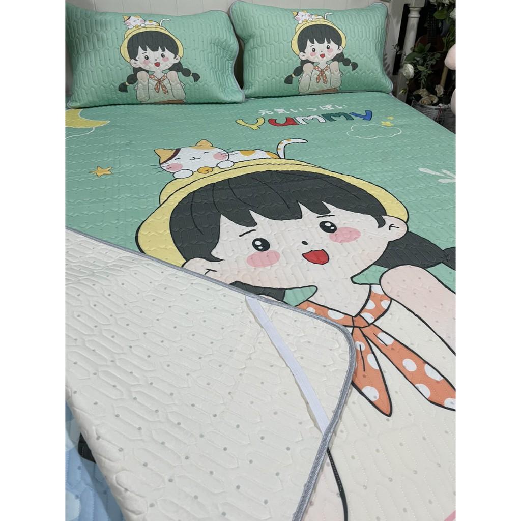 Chiếu Điều Hòa Cao Su Non 5D Hàng Loại 1 Có Sẵn Size 1m8*2m