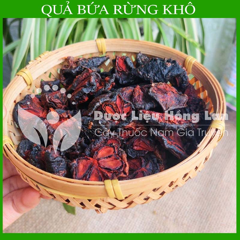  500g Quả Bứa Rừng khô (Quả măng cụt rừng) 