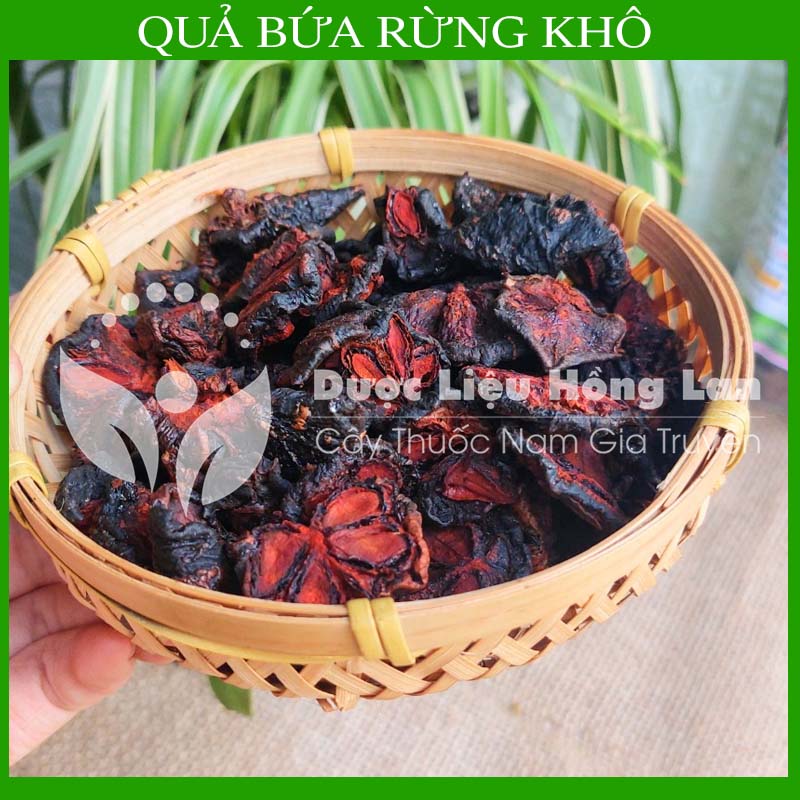 1kg Quả Bứa Rừng khô (Quả măng cụt rừng)