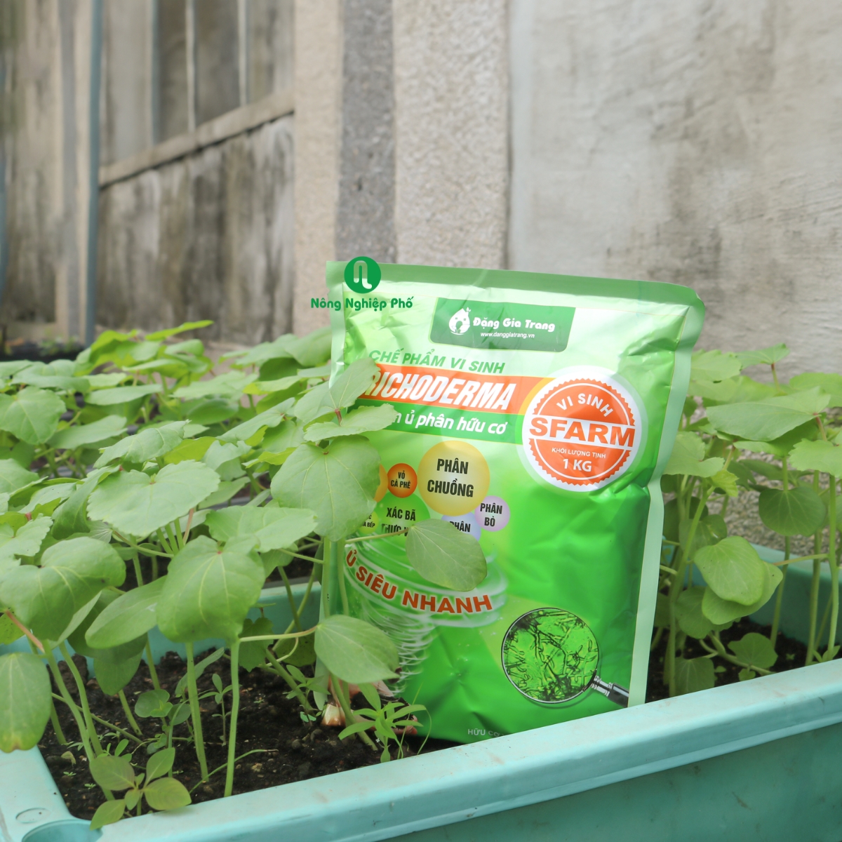 Chế phẩm vi sinh Trichoderma SFARM chuyên ủ phân hữu cơ - Gói 1kg