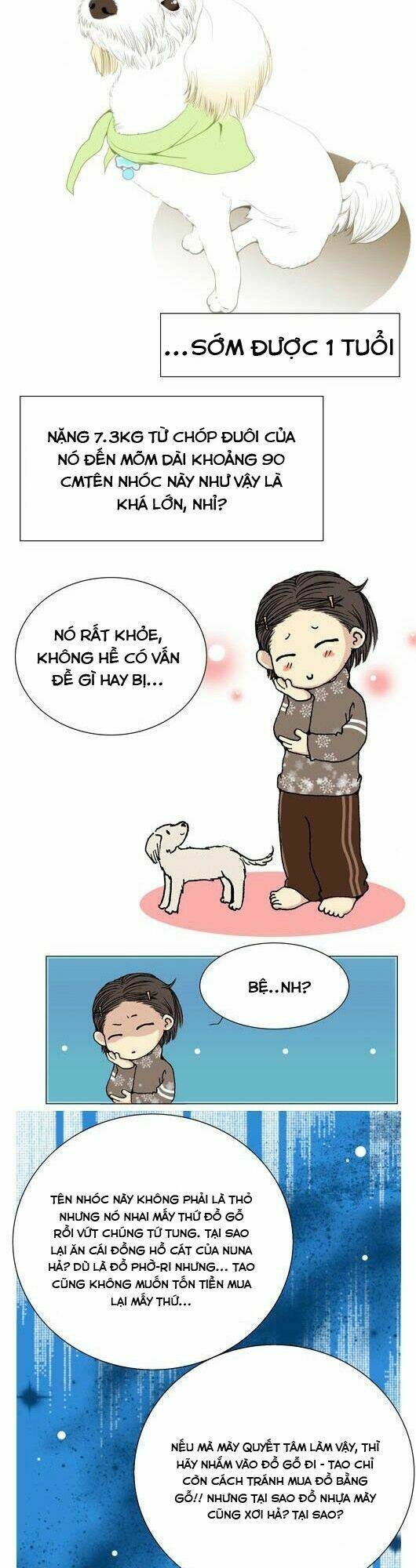 pet diary chapter 36 2