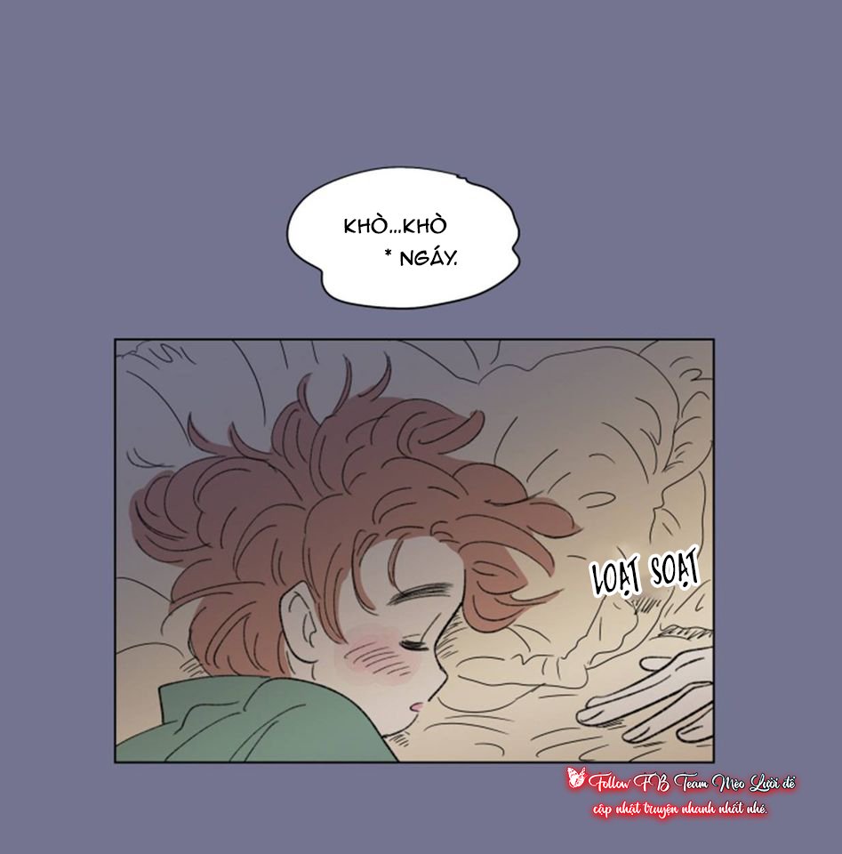 câu chuyện của hosik chapter 44 11