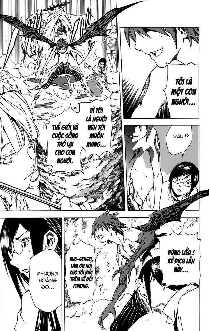 rồng xanh grado chapter 23 11