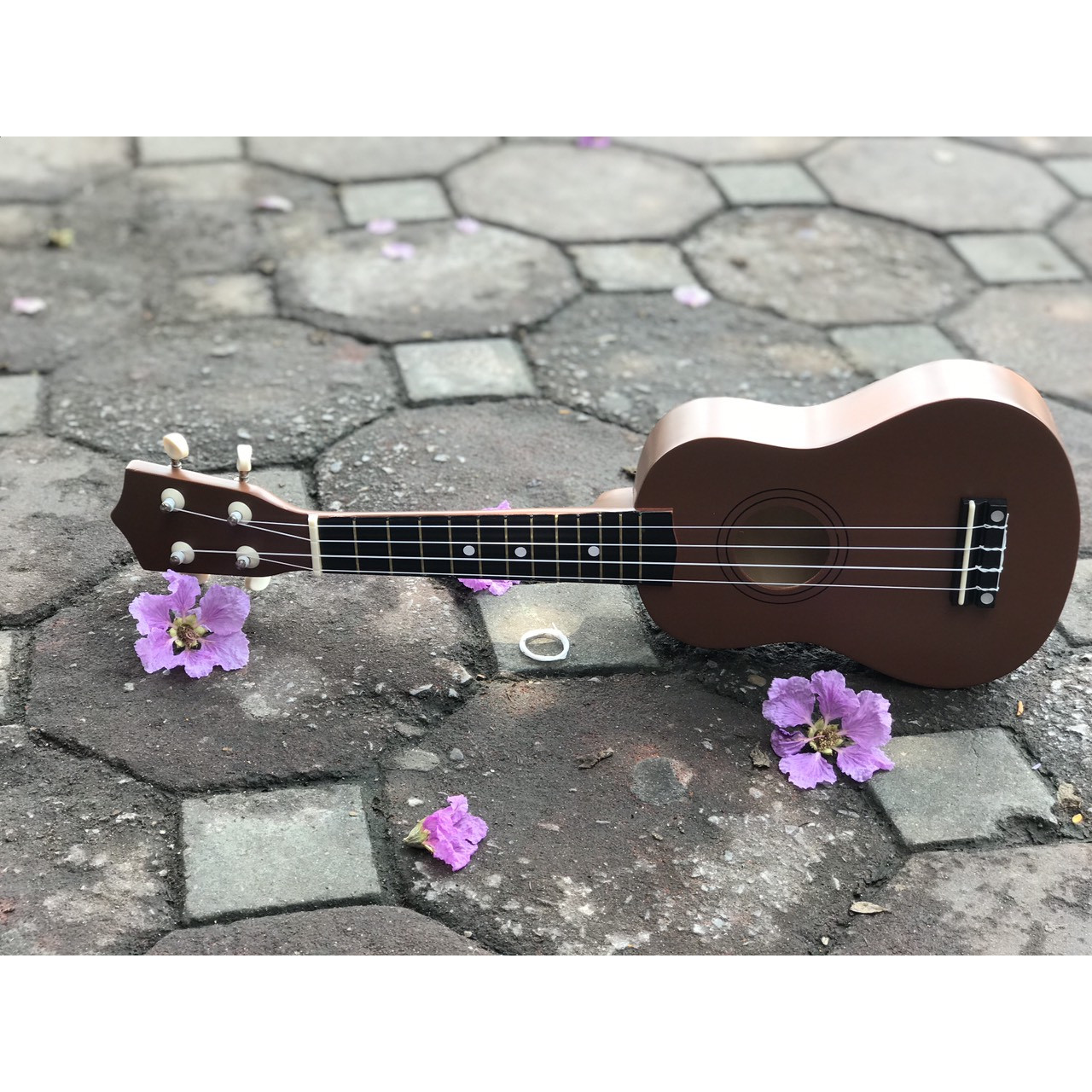 Đàn Ukulele màu nâu (SOL.G)