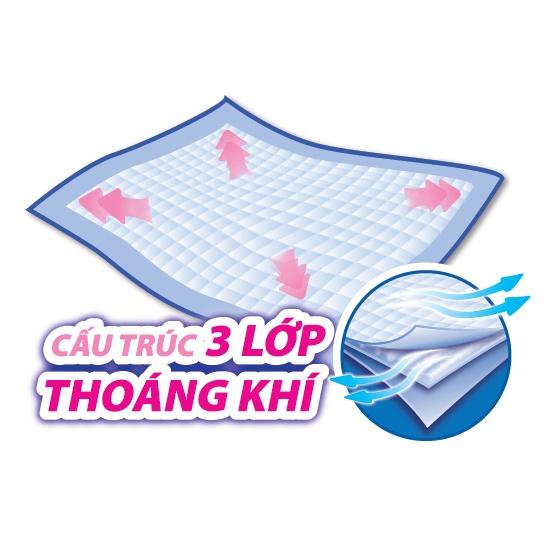 (HCM) Tấm đệm lót người già Caryn khổ lớn 60x70cm gói 14 miếng