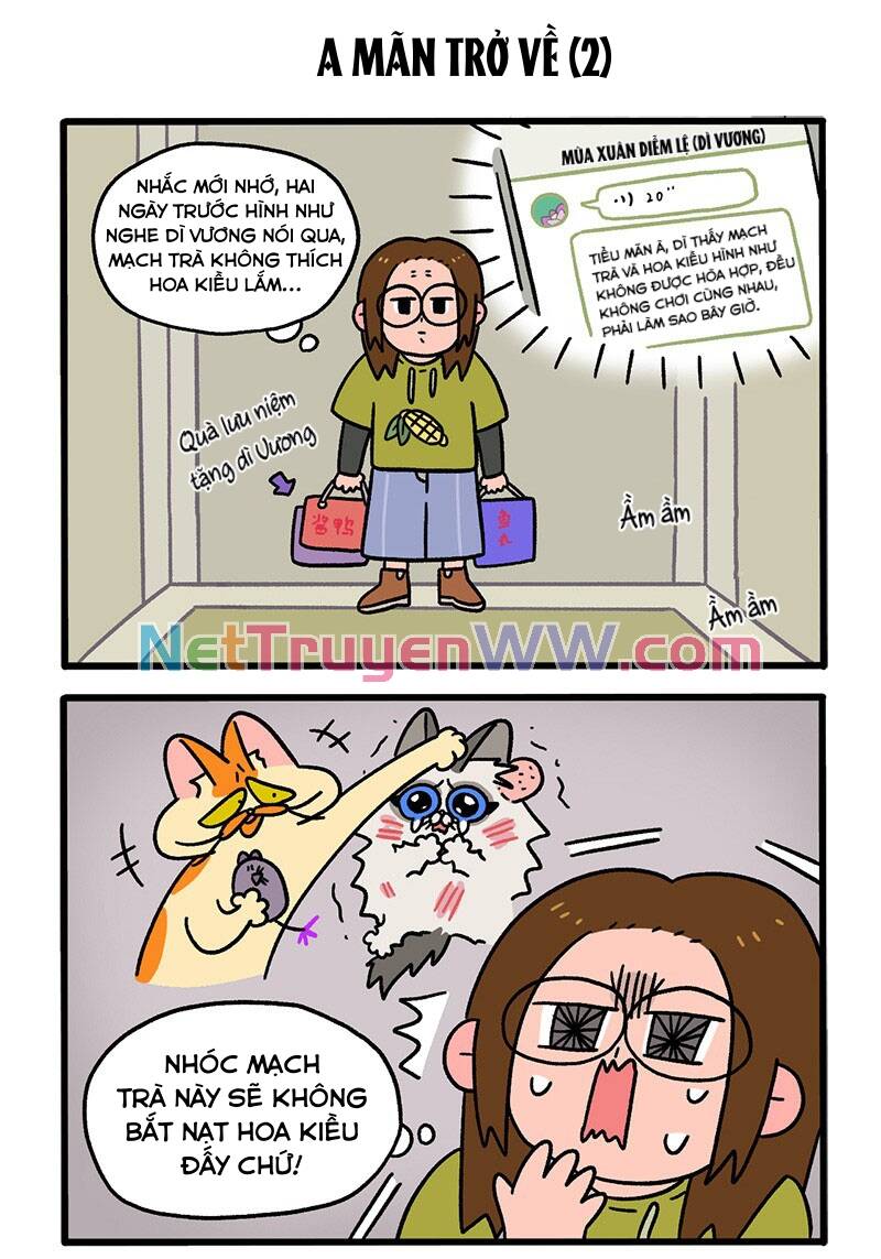 a mãn và mạch trà chapter 50 3