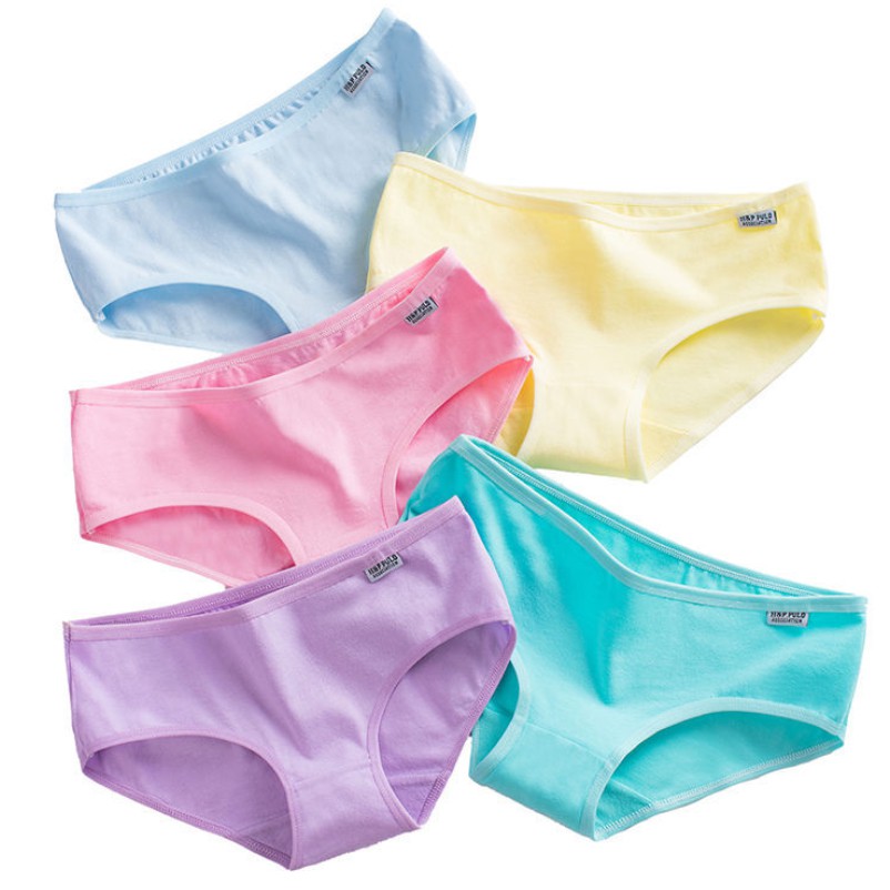 Combo 5 Quần lót nữ Cotton trơn kháng khuẩn sexy