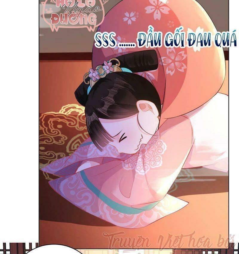 quận chúa vững vàng, thiết lập nhân vật không thể vỡ chapter 24 44