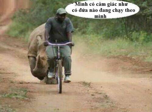 just troll chapter 6 1