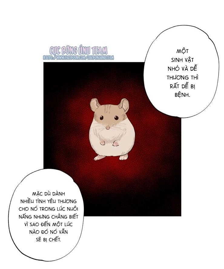 bắt đầu từ việc sống chung chapter 5 39