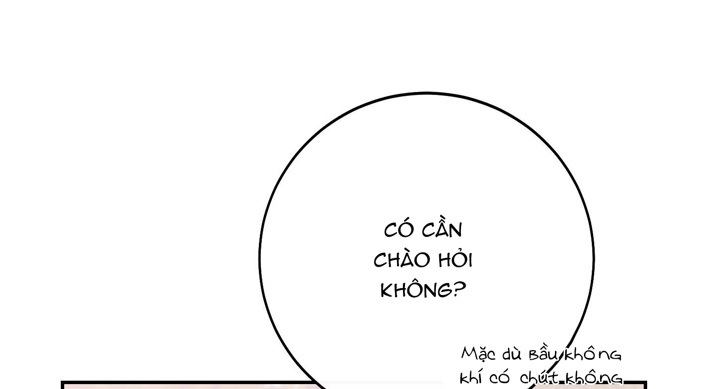 lãng mạn giả dối chapter 16 137